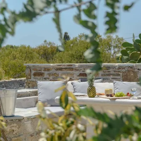 Сasa de vacaciones Anthemion Naxos With Outdoor Jacuzzi